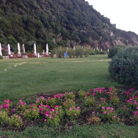 Holiday Homes Marina Apartments Punta Ala Luaran gambar
