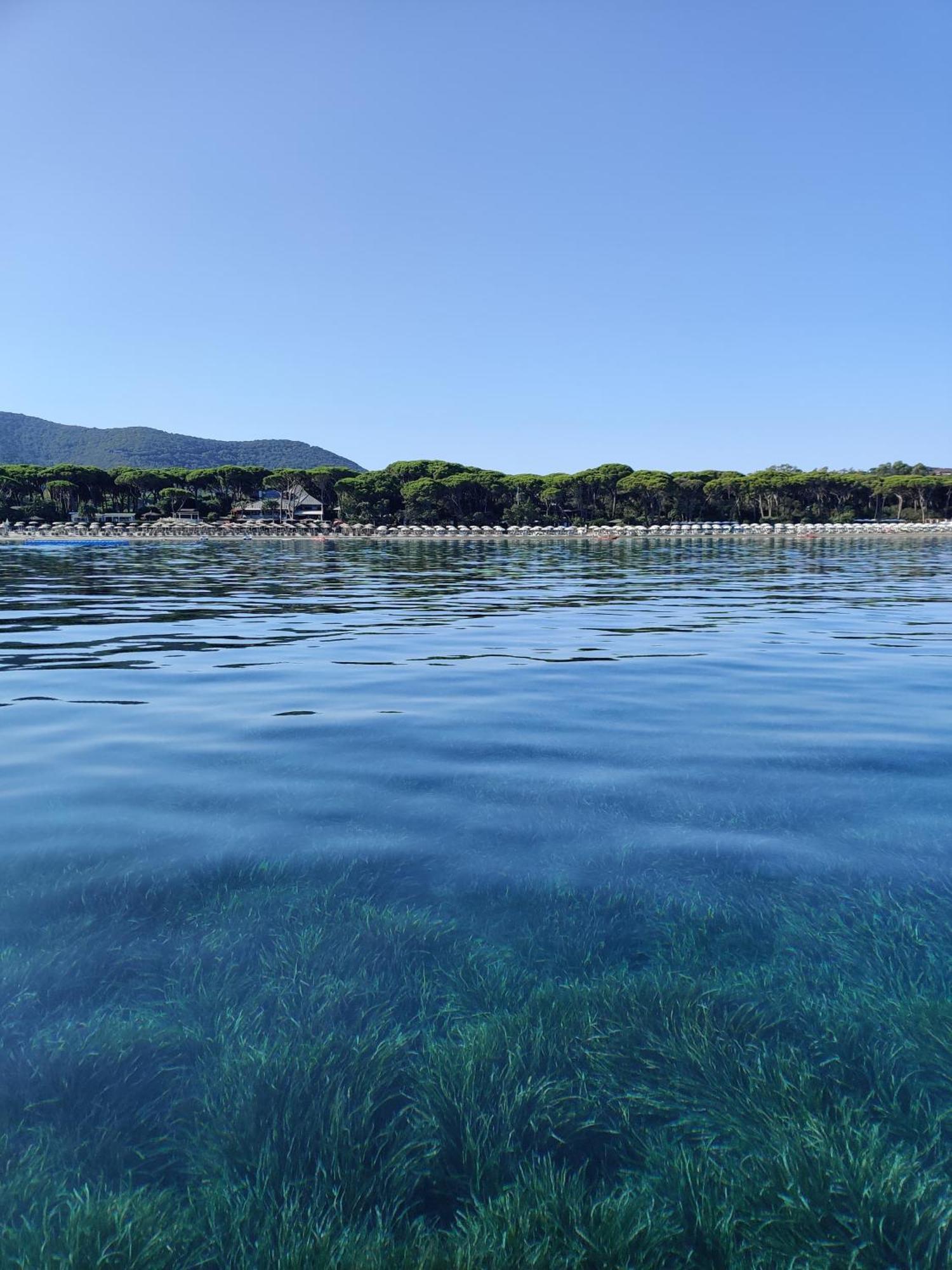 Holiday Homes Marina Apartments Punta Ala Luaran gambar